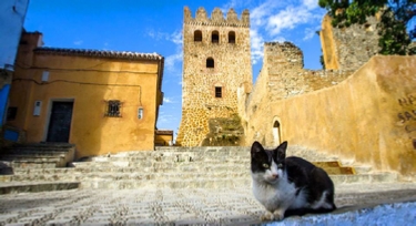 Explore Tangier medina with Trek Morocco Desert